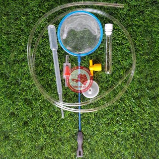 Bộ ấp artemia