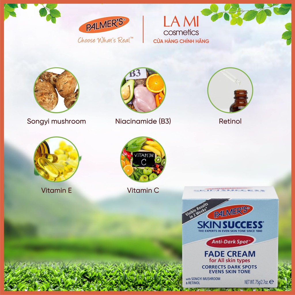 Kem Dưỡng Trắng Sáng Da Ban Ngày, Mờ Thâm Nám Và Tàn Nhang Skin Success Palmer's 75g