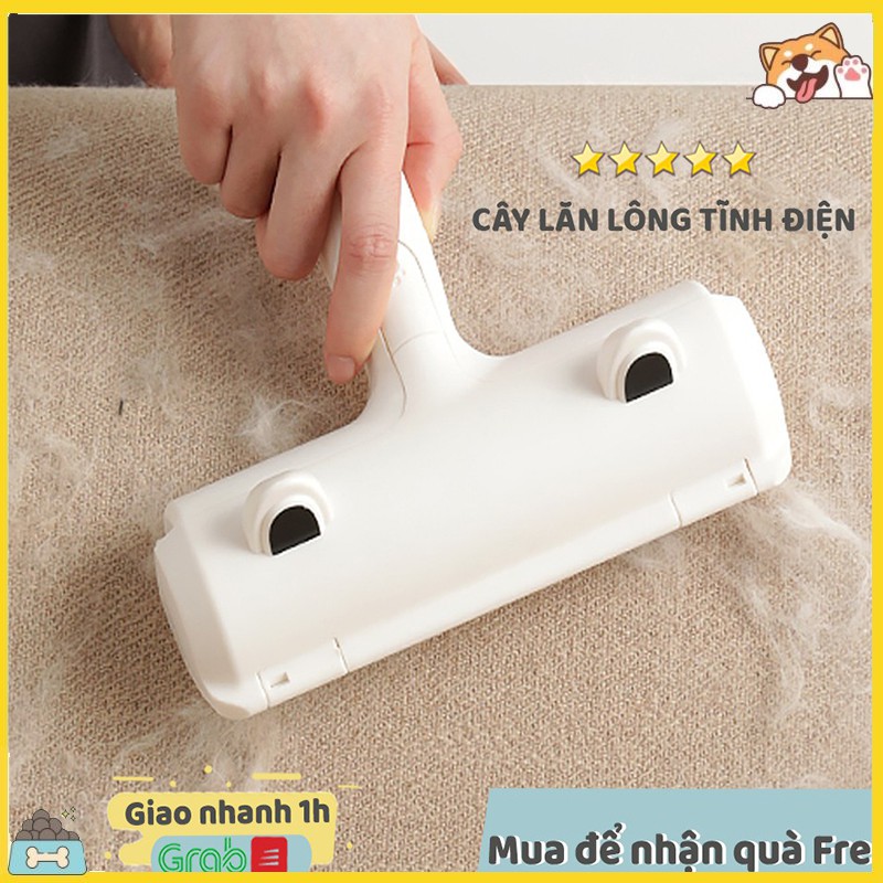 Cây Lăn Tĩnh Điện, Cây Lăn Lông Chó Mèo Làm Sạch Giường, Nệm, Sofa
