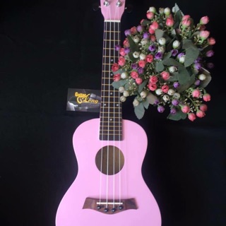 Đàn Ukulele Concert MT giá rẻ