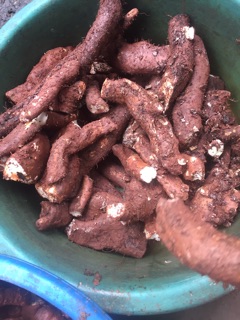 Củ mài hoài sơn 500g