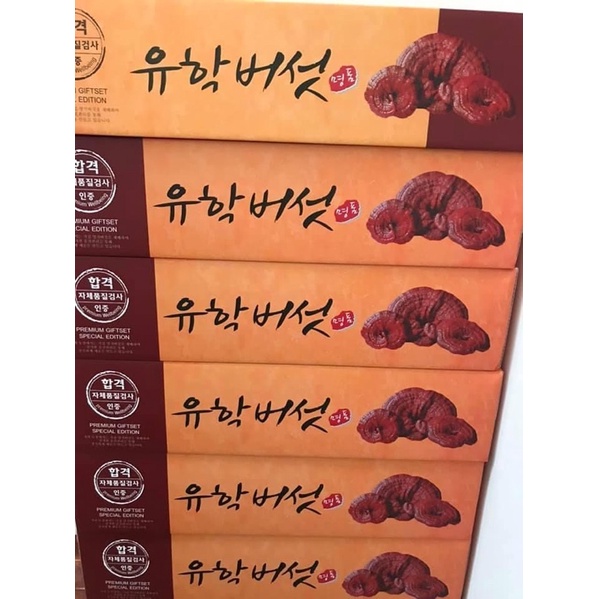 [GIÁ SỈ] Nấm Linh Chi Đỏ Hàn Quốc Hộp Giấy Cô Gái CAO CẤP [DATE MỚI]