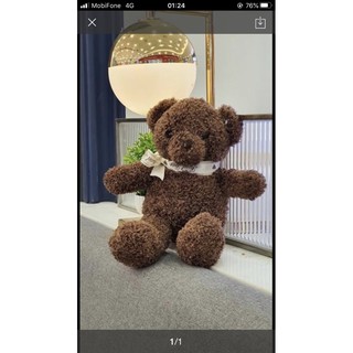 THANH LÝ GẤU BÔNG TEDDY