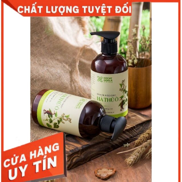 [Tặng quà chính hãng] Dầu gội thảo dược  hà thủ ô 2in1 bí quyết giảm rụng tóc, bạc tóc cho mái tóc khỏe | BigBuy360 - bigbuy360.vn