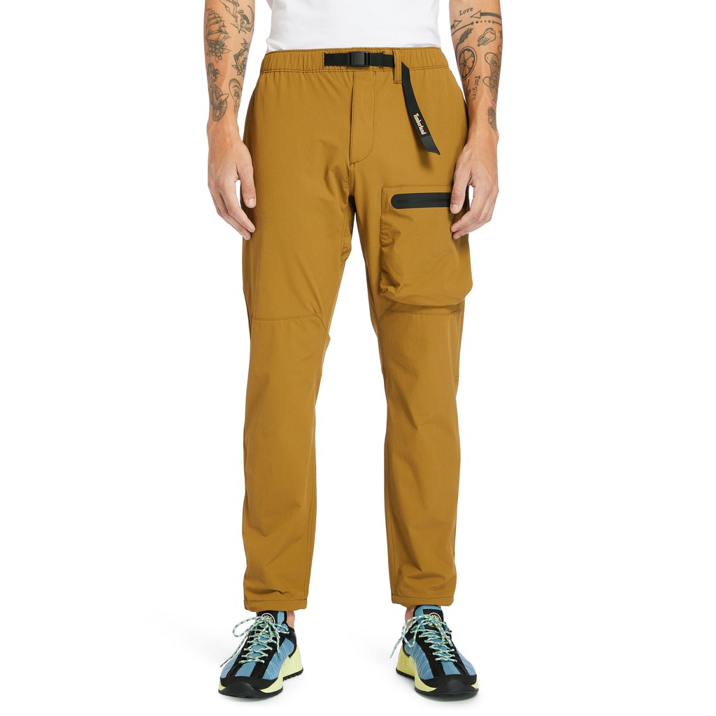 Quần Khaki Dài Nam Field Trip DWR Pants Màu Nâu Timberland TB0A2D1CIH