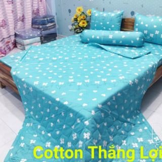 Drap Thắng lợi M6/M8 không chăn/ mền