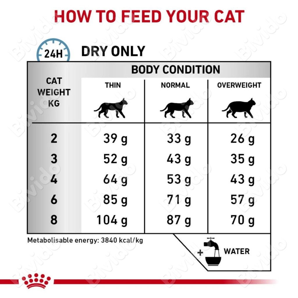 Thức ăn mèo Royal Canin Skin and Coat hỗ trợ viêm da rụng lông 400g - Bivido