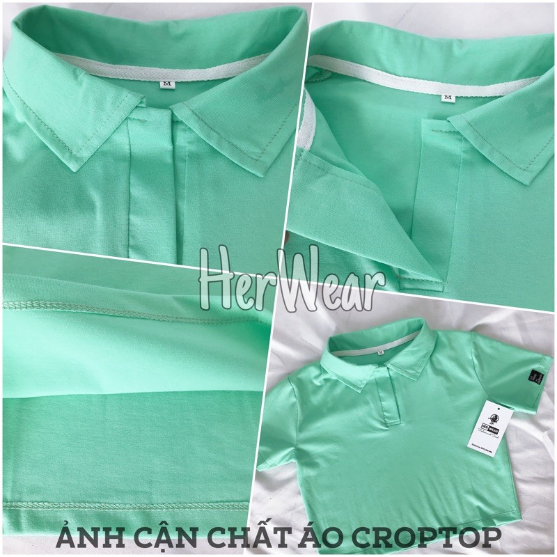 Áo croptop nữ Polo cổ bẻ, dáng ôm nhẹ chất cotton co dãn thoáng mát. | BigBuy360 - bigbuy360.vn