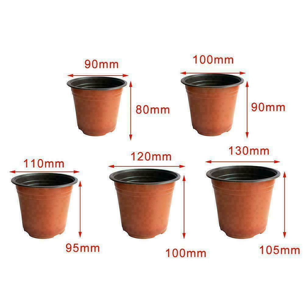 1 Chậu Nhựa Trồng Cây Q9O3