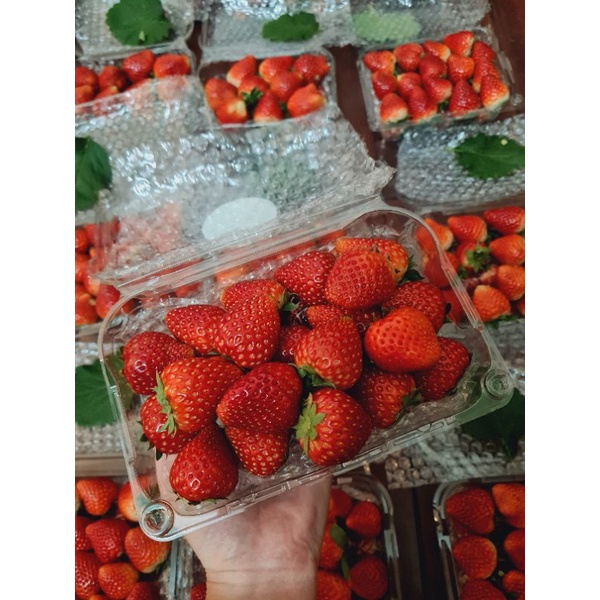 (Giao nhanh 2h) Dâu tây Mộc Châu size Nhỡ