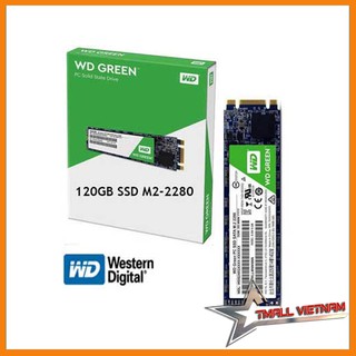 Ổ cứng SSD M2-2280 120G Western