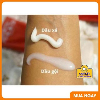Dầu Gội TiGi Đỏ 1500ML/Cặp [Phục Hồi Tóc Hư Tổn]