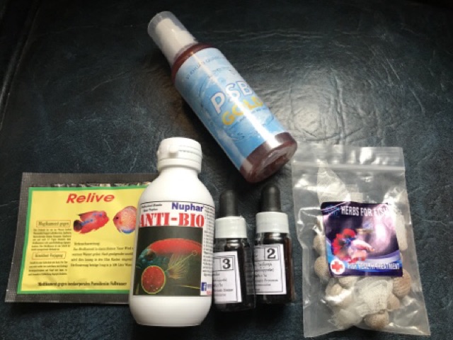 COMBO NGỪA TRỊ BỆNH THIẾT LẬP VI SINH HỒ CÁ