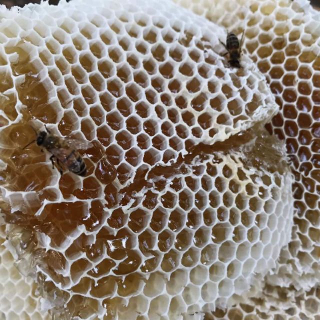 Mật ong vườn nhà nguyên chất