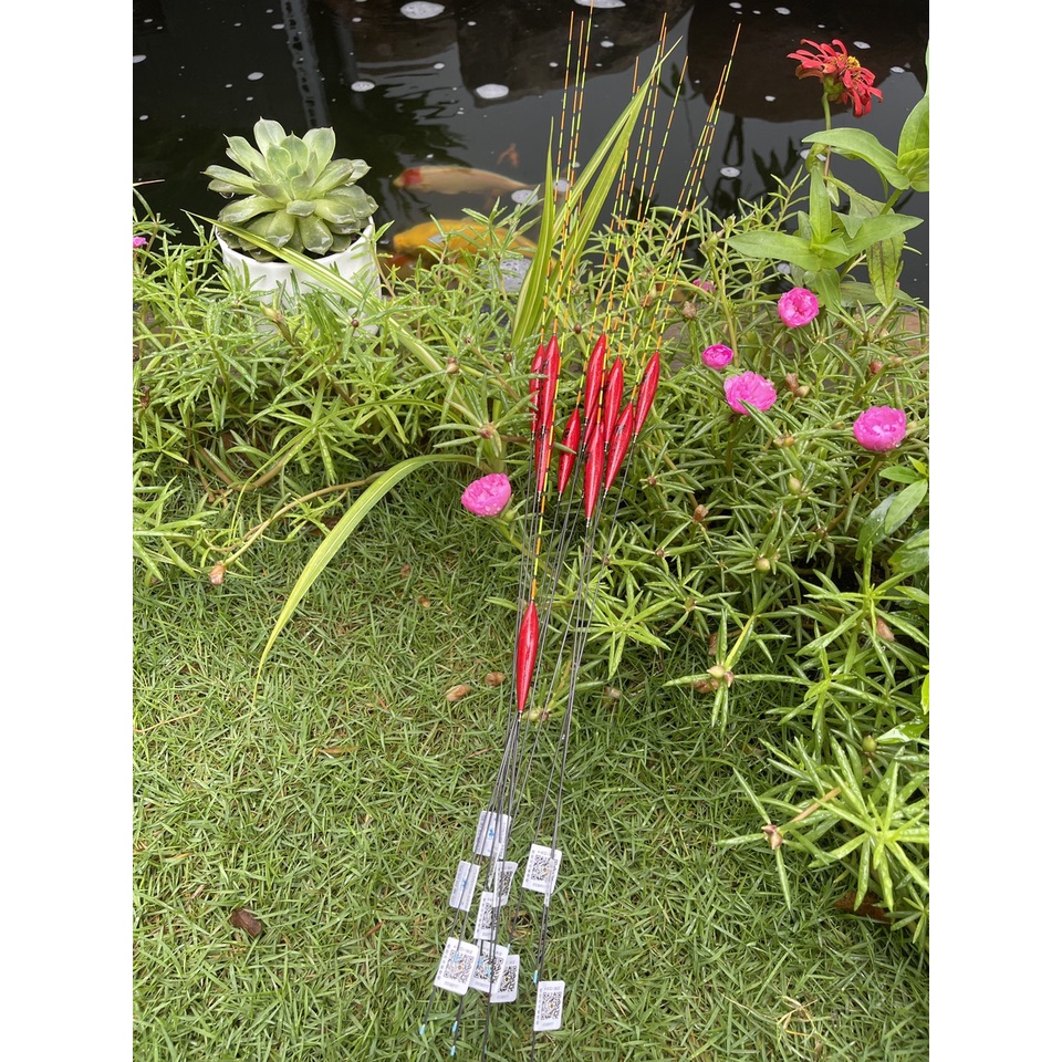 Phao câu đài JZWANG D-22 siêu đẹp