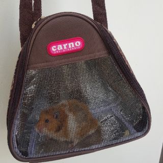 Túi đeo Pet tam giác