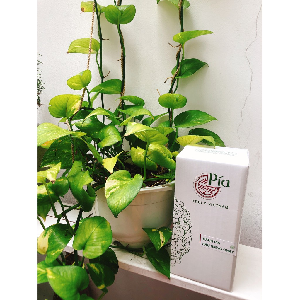 HỘP PÍA SẦU RIÊNG KHÔNG TRỨNG MUỐI - DÂY CHUYỀN | BigBuy360 - bigbuy360.vn