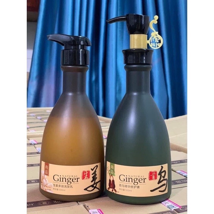 Gội xả GINGER Natural giảm rụng chiết xuất gừng tươi 500ml - ginger chính hãng
