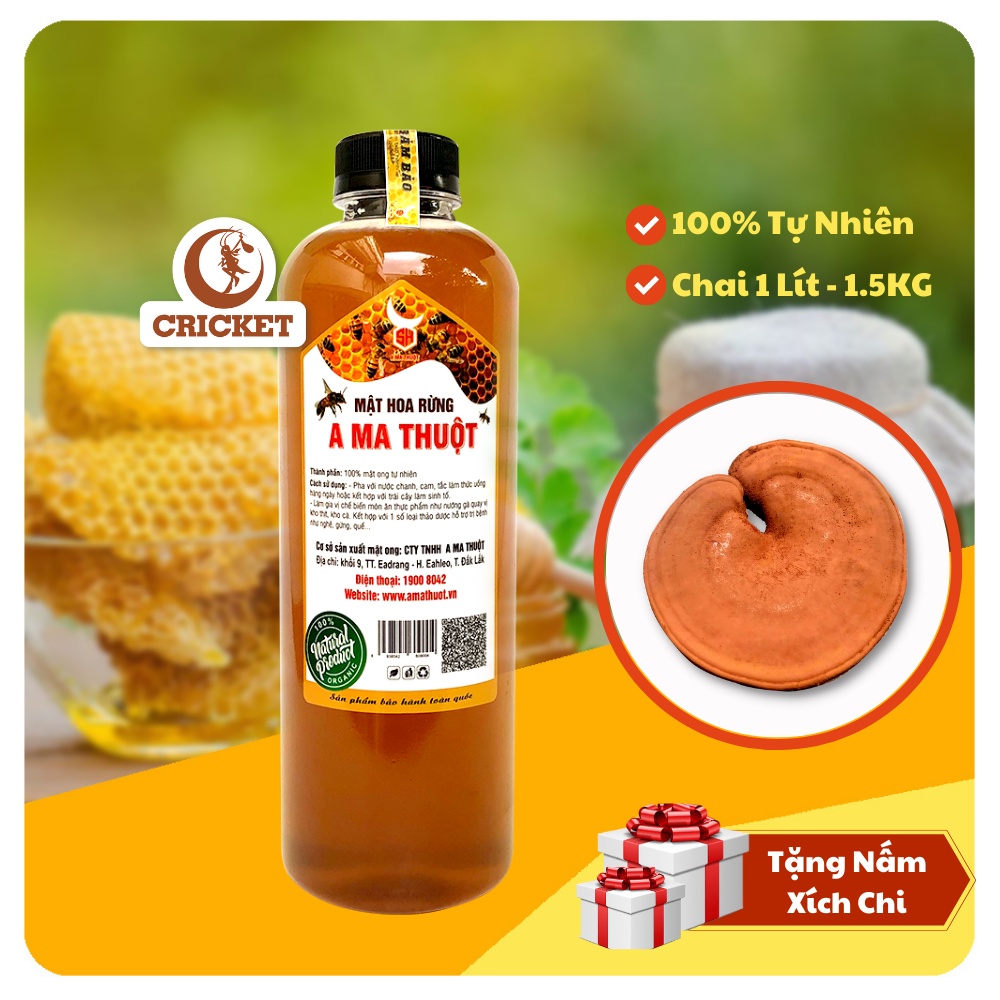Mật Ong Hoa Rừng 100% Nguyên Chất Chai 1L (1,5kg) - Đặc Sản Rừng A Ma Thuột [Tặng Nấm Hồng Chi]