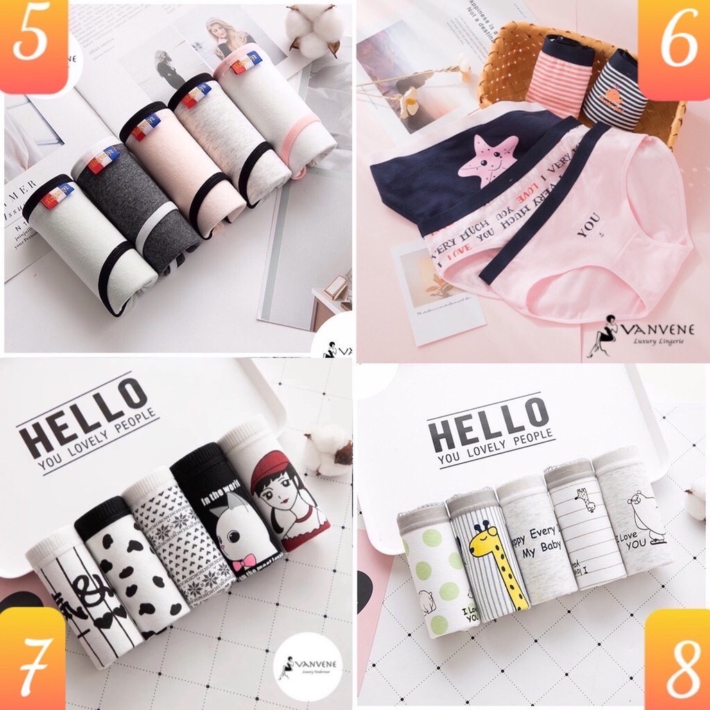 COMBO 5 QUẦN LÓT COTTON EVABRA COMBO 5 QUẦN CHIP NỮ NHIỀU LOẠI CẠP VỪA CẠP VỪA CHỐNG HẰN LỘ VIỀN CO GIÃN NHIỀU Q230 | BigBuy360 - bigbuy360.vn