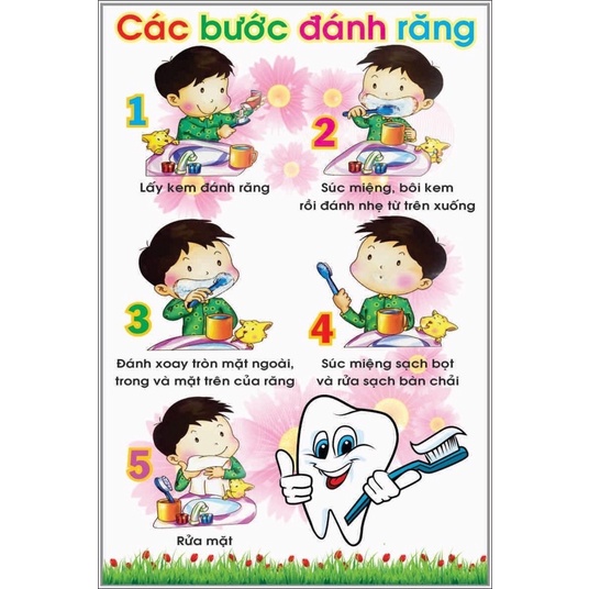 Tranh quy trình đánh răng