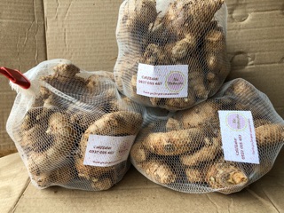Củ Nghệ Vàng - Củ  Nghệ Đen