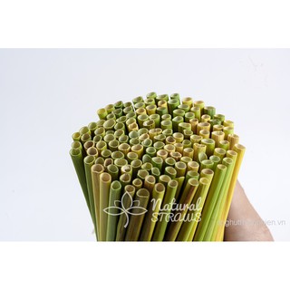 Ống hút cỏ Bàng khô (100+5 ống) [Đường kính lớn nhất thị trường]