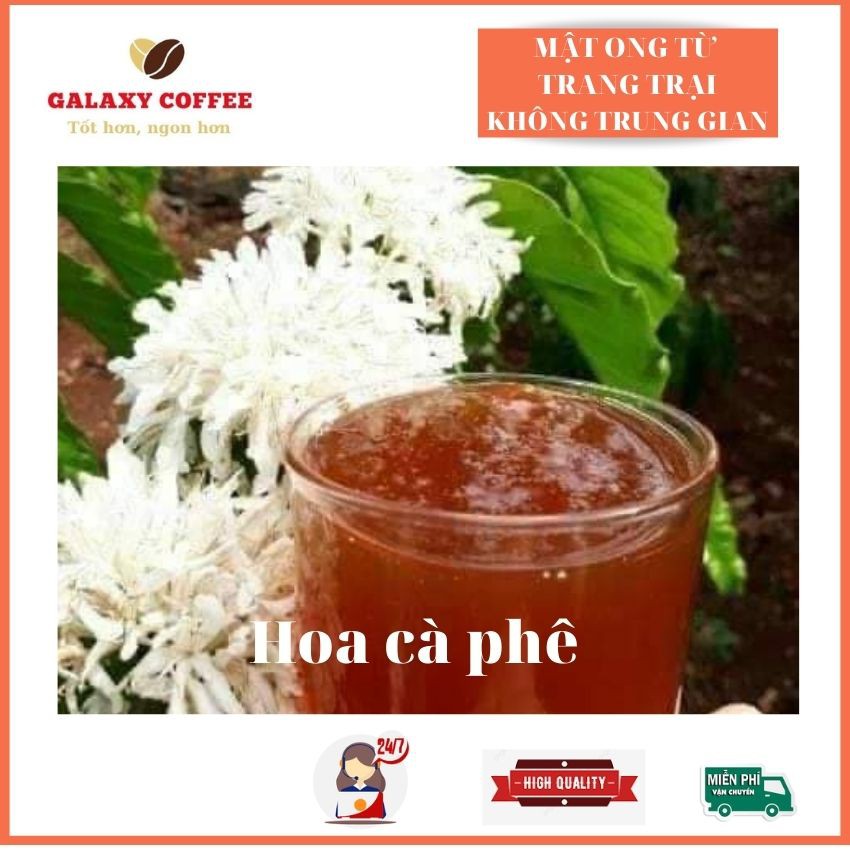 Mật Ong Nguyên Chất Hoa Cà Phê Galaxy Coffee  1 Lít