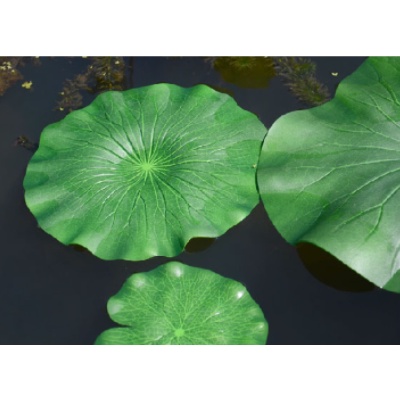 Lá sen giả thả nước trang trí tiểu cảnh ngoài vườn phủ xanh