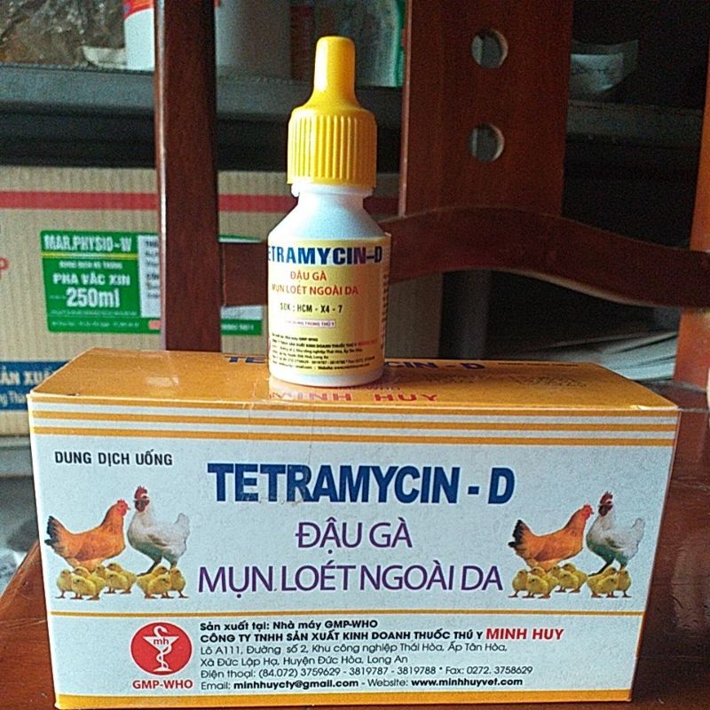 Đậu gà, gà mọc mụn ở đầu, gà đá, thú cưng chim, gà chọi, gia cầm