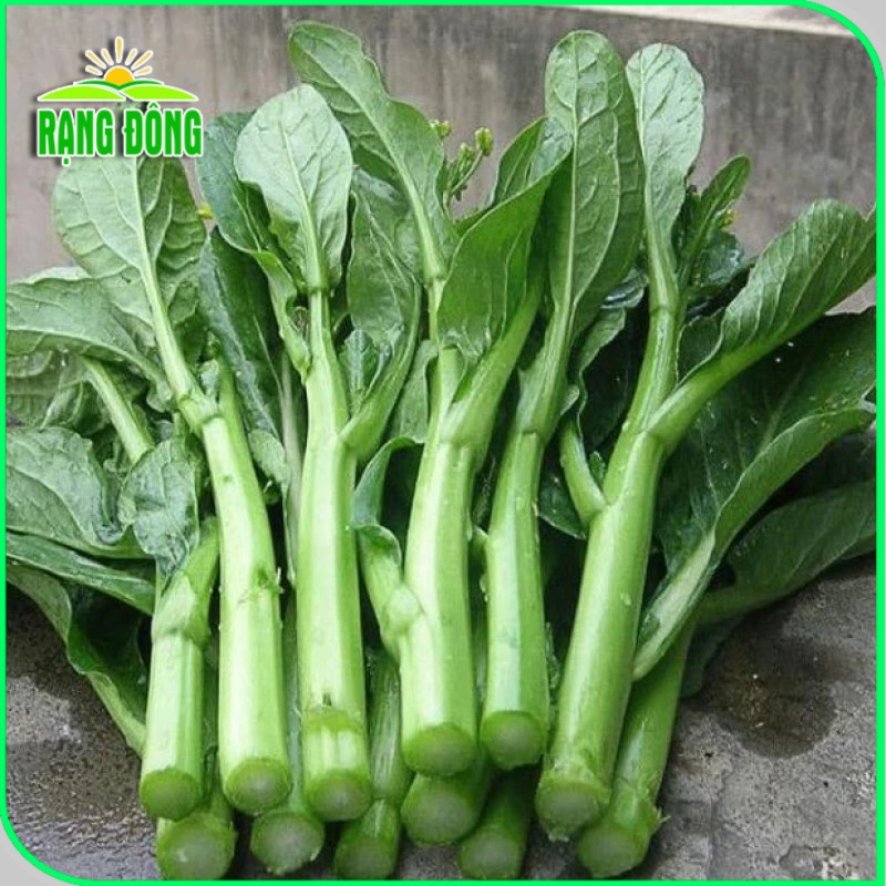Hạt giống Cải Làn Ăn Bông trồng quanh năm, cây sinh trưởng khỏe, nảy mầm tốt (gói 5 gr) - Hạt giống Rạng Đông