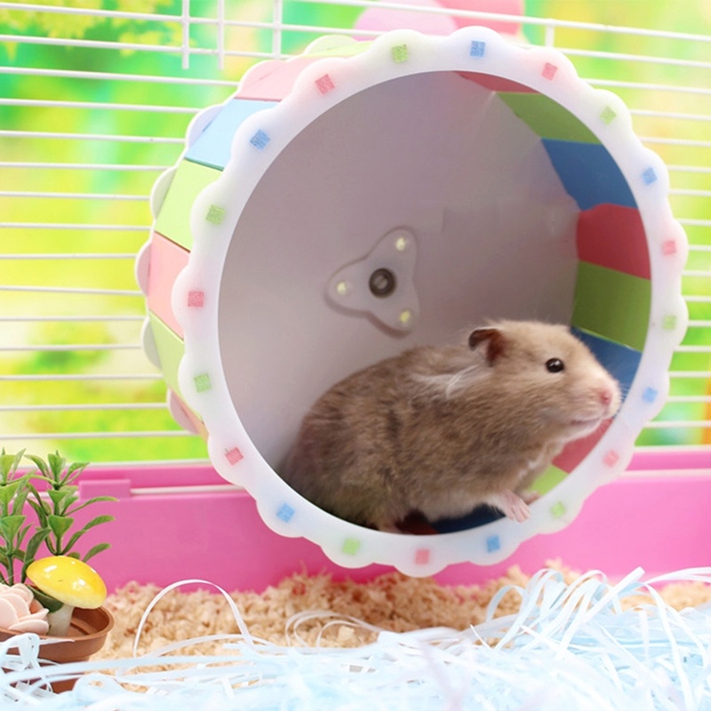 Đồ Chơi Con Lăn Chạy Không Tiếng Ồn Cho Chuột Hamster