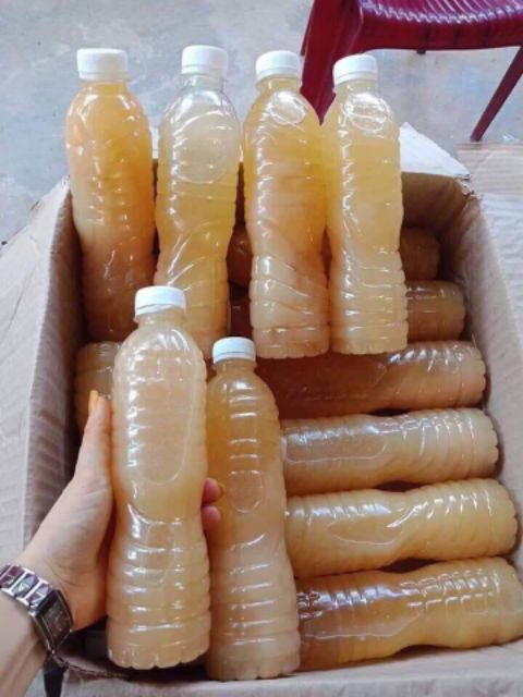 Mỡ trăn sỉ lẻ cao cấp 500ml