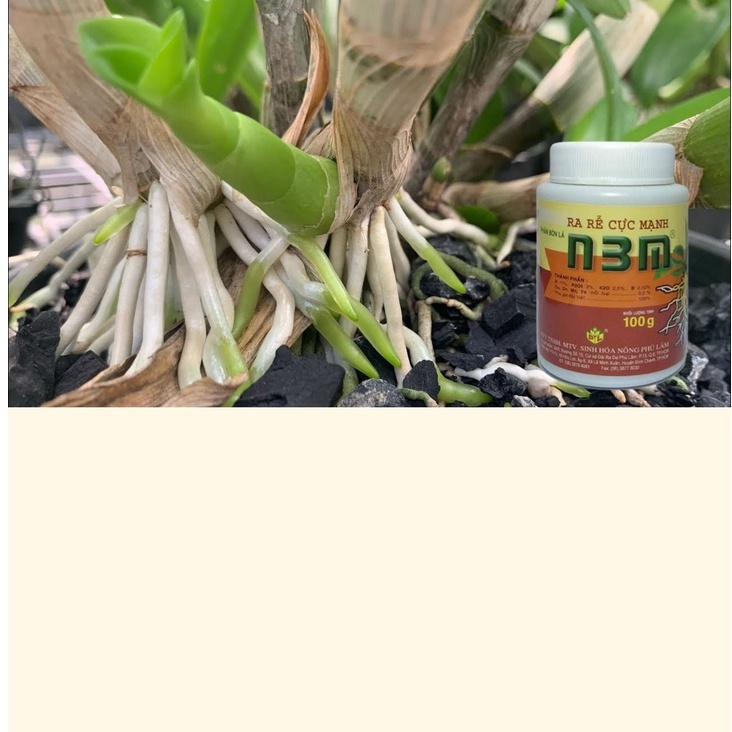Phân bón lá kích rễ, ra rễ cực mạnh N3M 100G - Shop Phân Bón và Hạt Giống