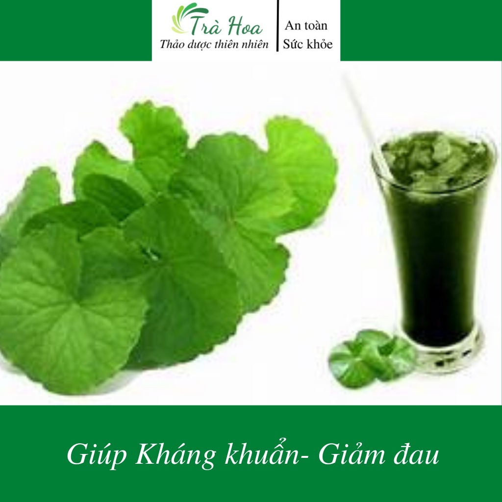 Bột rau má, bột rau má nguyên chất giảm mỡ, đẹp da Trà Hoa Cô Ba