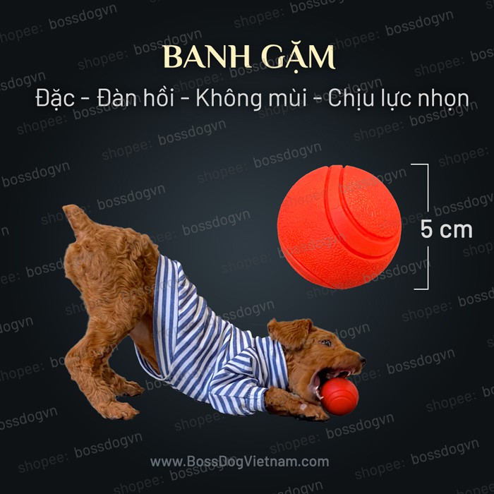 Bóng đồ chơi cho chó cao su đúc đặc TOF | BossDog