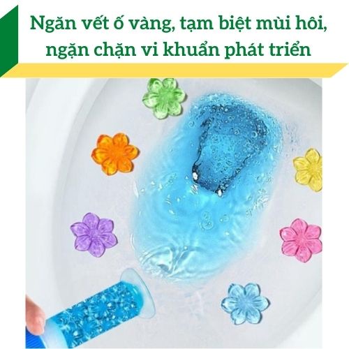 Gel Khử Mùi Diệt Khuẩn Bồn Cầu Hình Hoa Hương Thơm Dễ Chịu  Thơm Khử Mùi Toilet CHIPAO STORE