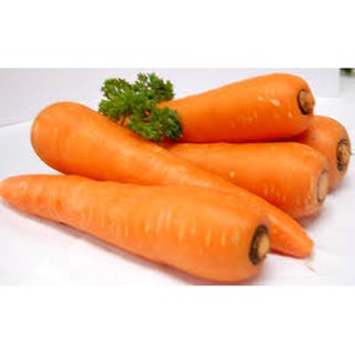 Hạt giống Cà Rốt F1