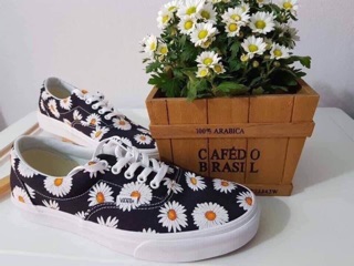 Giàu vans hoa cúc