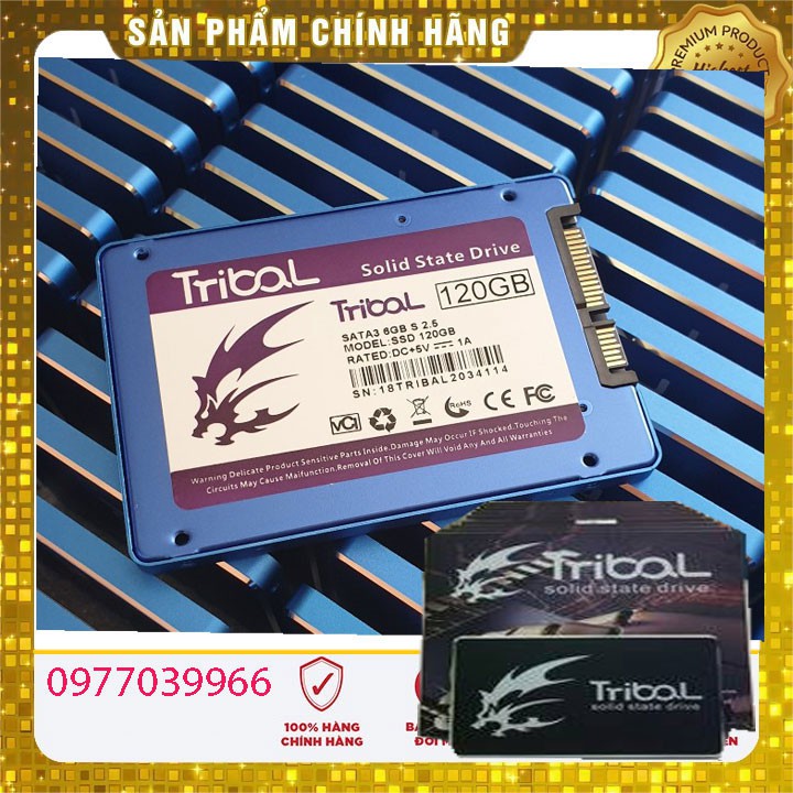 ổ Cứng SSD 240gb và 120gb Tribal