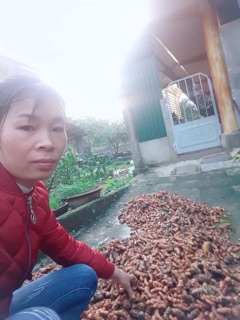 [Giá ưu đãi shop mới]Tinh bột nghệ nguyên chất Vàng/đỏ/đen