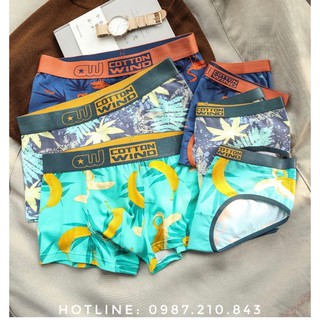Quần lót đôi Cotton Wind siêu đẹp