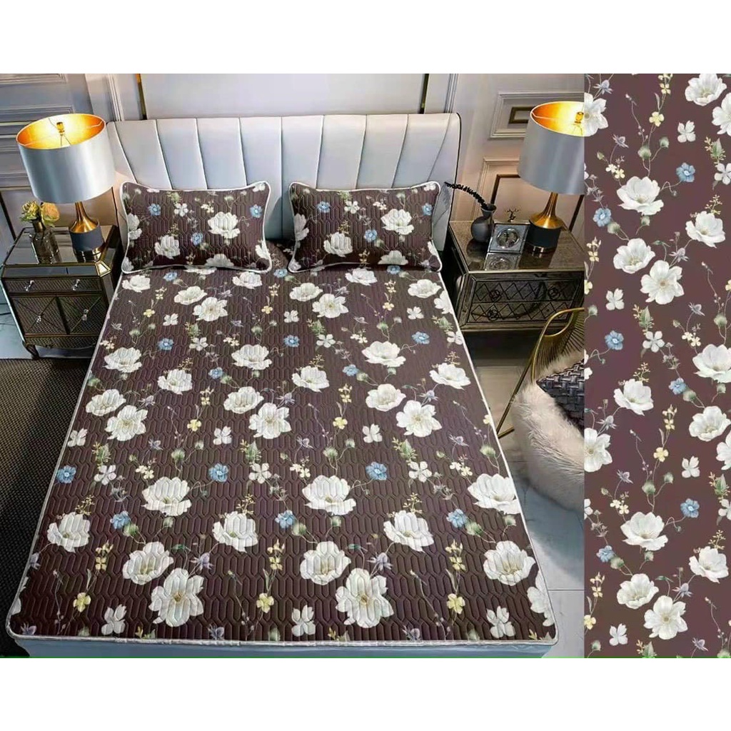 Chiếu Điều Hòa Caosu Non Latex Cao Cấp, hàng nhập khẩu trực tiếp siêu mềm mịn, mát