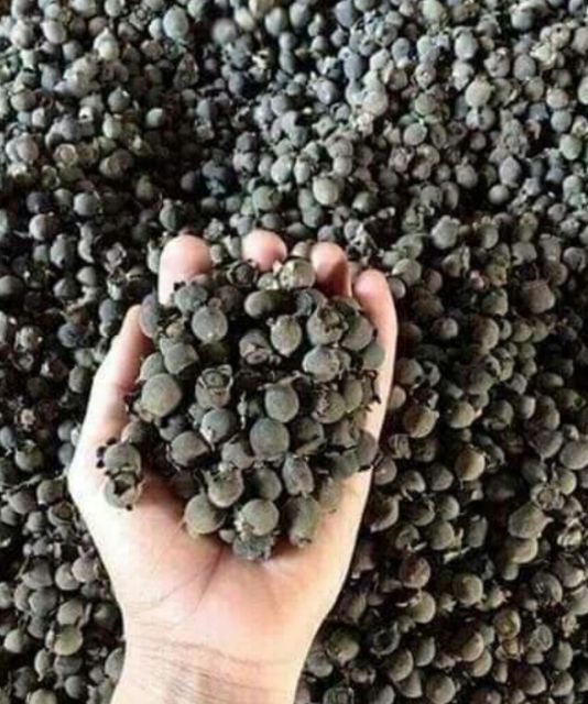 quả sim rừng khô 1 kg | BigBuy360 - bigbuy360.vn