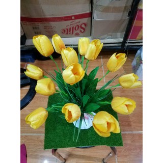 Bình hoa tulip