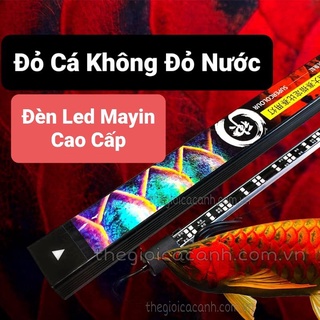 ĐÈN LED CÁ RỒNG MAYIN SUPER COLOUR ĐỎ CÁ KHÔNG ĐỎ NƯỚC