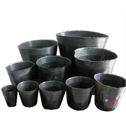 1kg bầu ươm cây giống(Hàng loại 1)