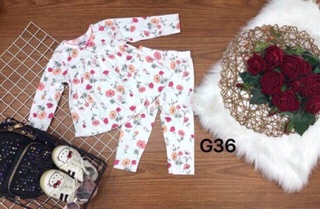 Combo Đồ dài bé gái