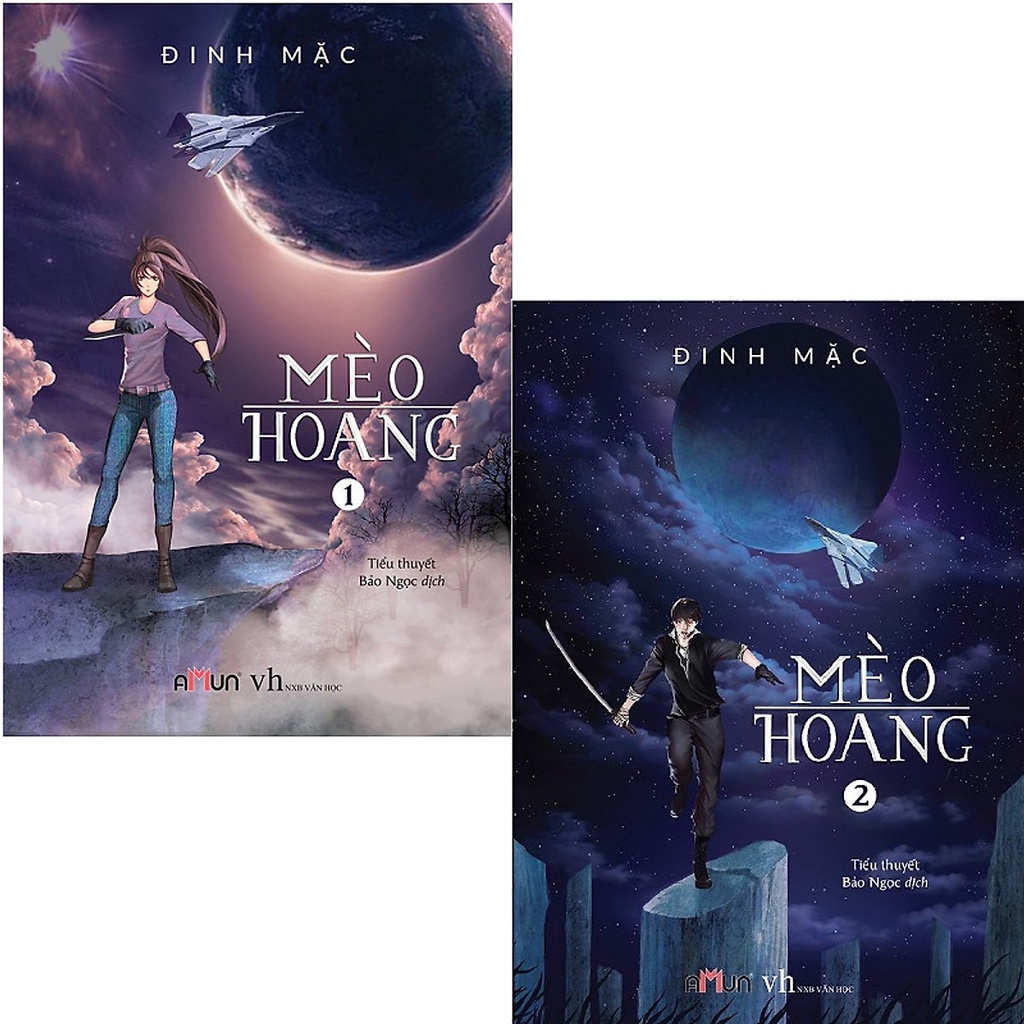 SÁCH - Mèo hoang ( ĐINH MẶC )