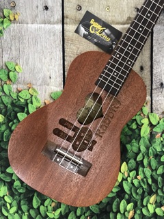 Đàn Ukulele Concert Thỏ Rabbit ❤️